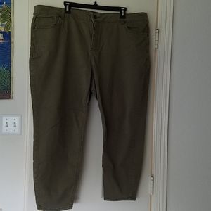Dress Barn W62 light olive green khaki pants
